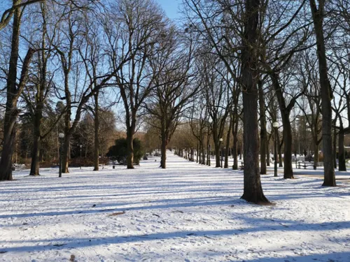 Météo : L’hiver arrive en lorraine !